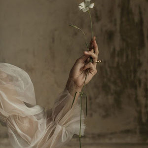 Meet your Posher, Ashlyn